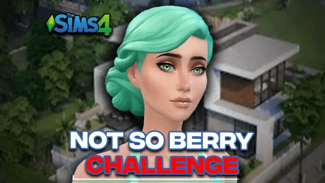 Not So Berry Challenge: | Sims 4 Colors Generations(Updated) 2024
