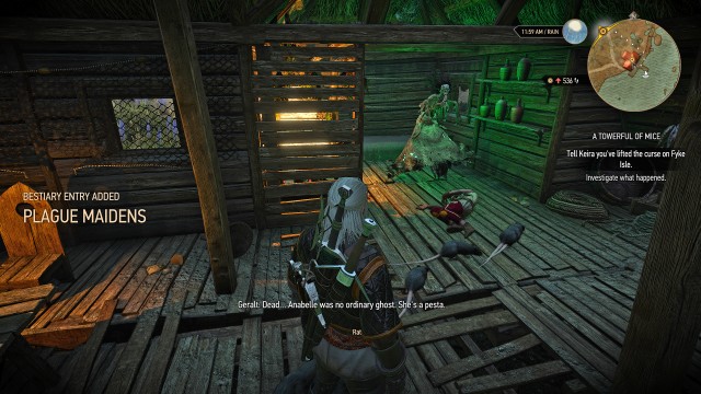 Geralt gives her bones to the partner to bury and leaves