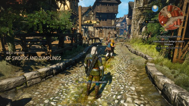 hattori of Witcher 3 a Bodyguard