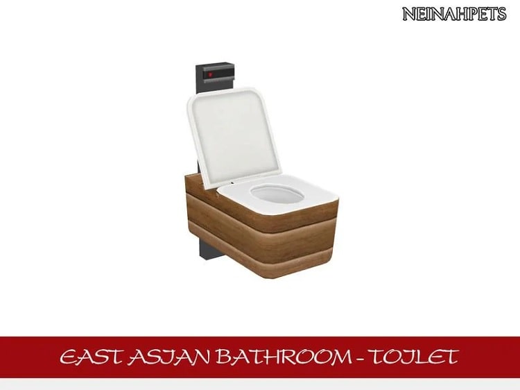 East Asian Bathroom – Toilet
