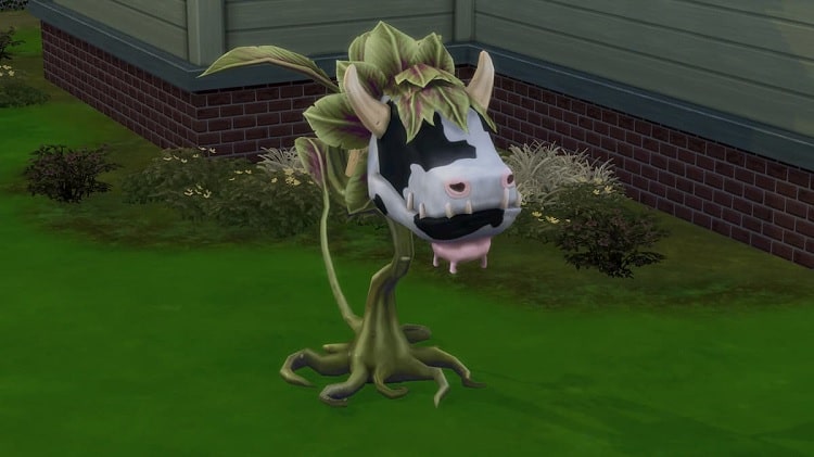 How To Get The Cowplant In Sims 4?