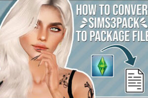 Sims 3 Multipack Installer & Package Converter