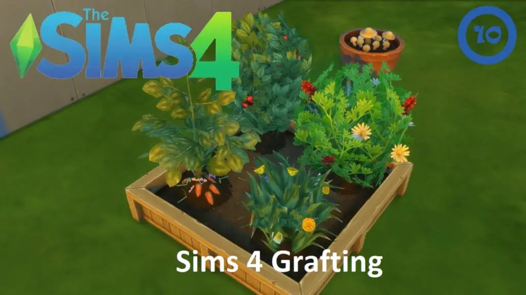 Sims 4 Grafting | Plant Grafting & Chart | Spliced Plants