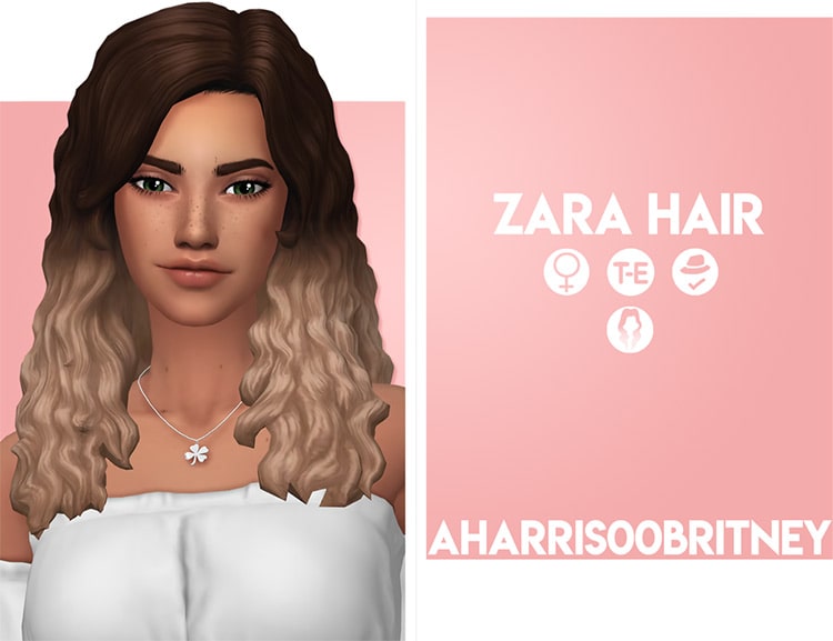 Zara hair