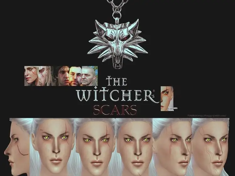 The Witcher's Scars