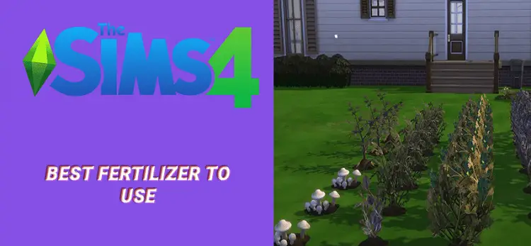 List of Sims 4 Best Fertilizer