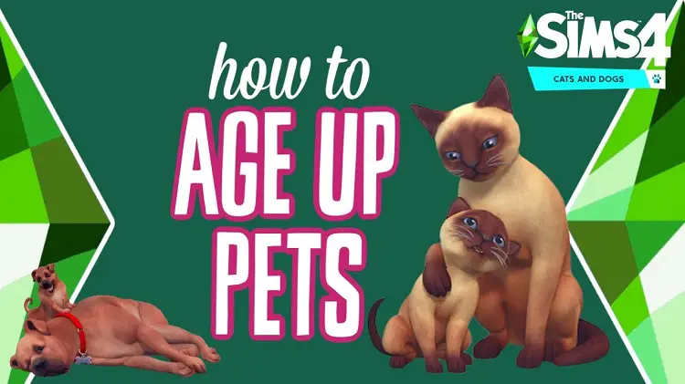 Aging Up Pets