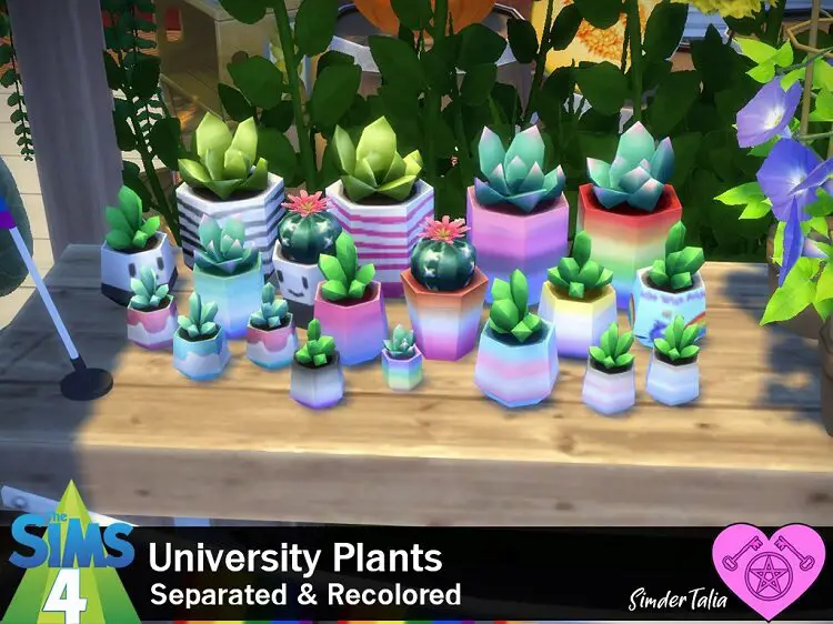 University Plants